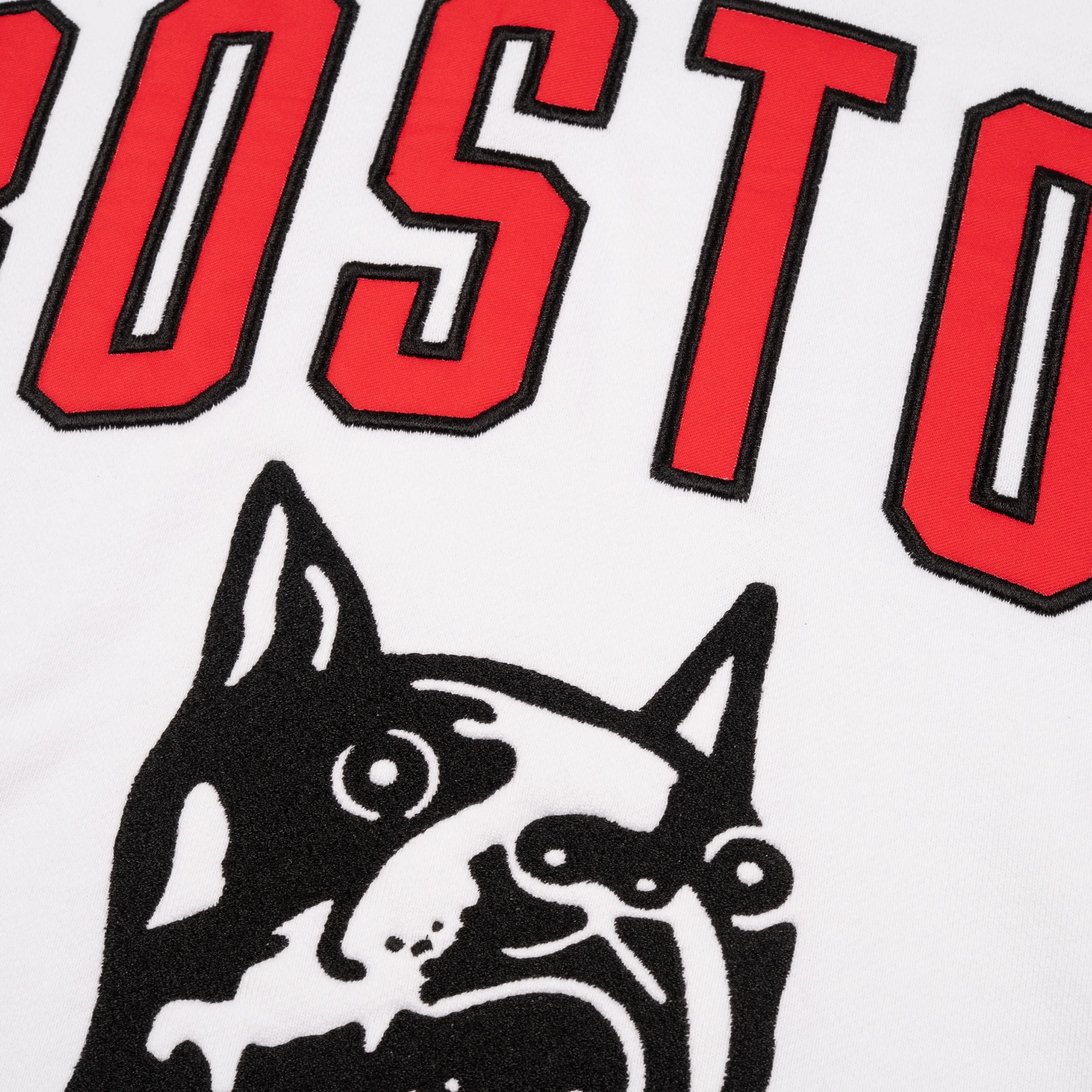 Boston Terriers Hockey Rinkside Hoodie - Image 4