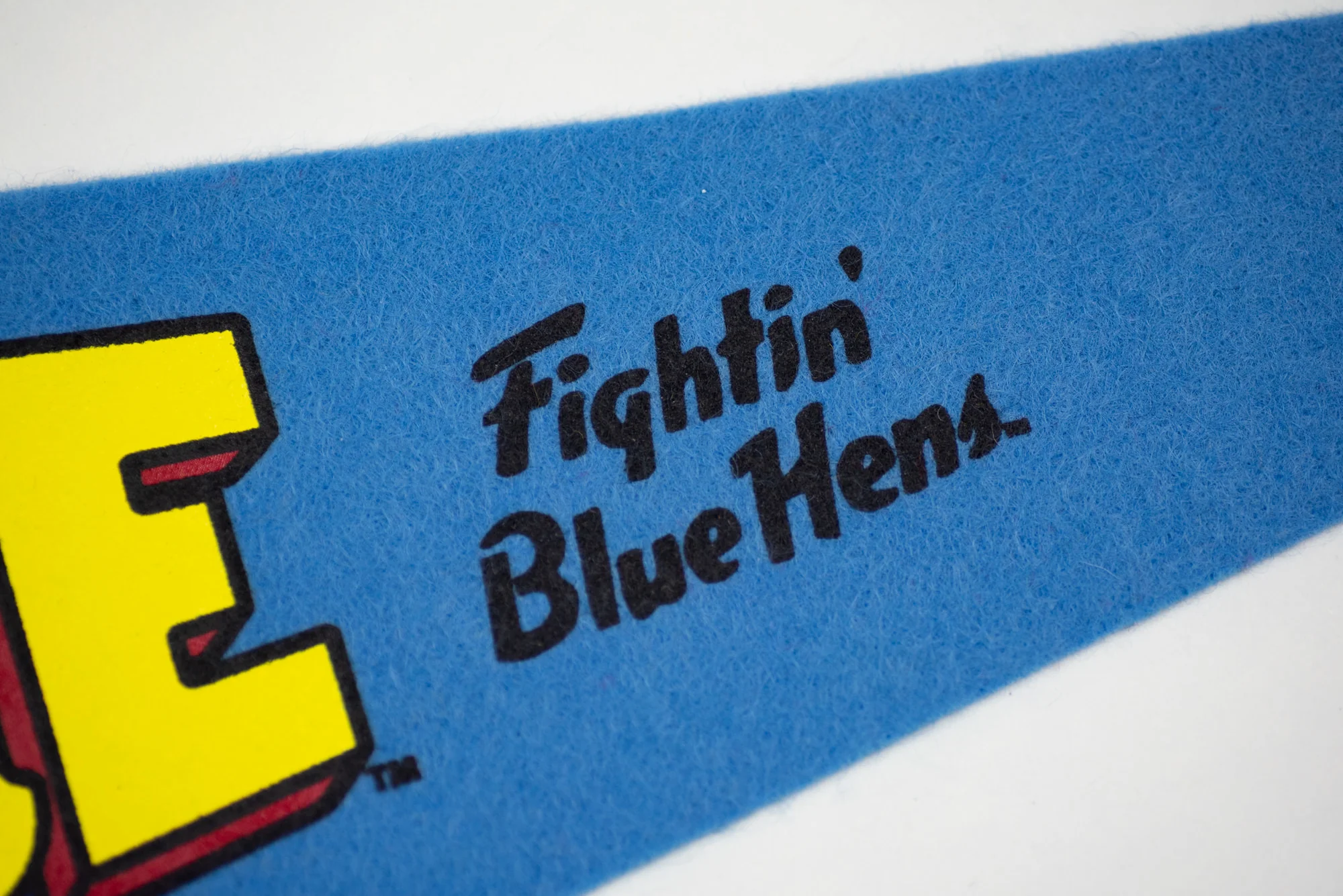 Delaware Fightin' Blue Hens Pennant - Image 3