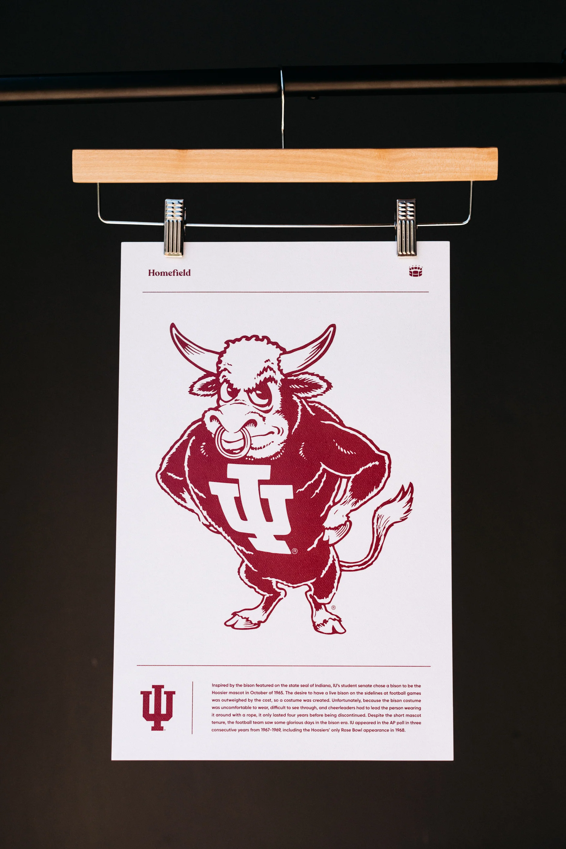 IU Bison Print - Image 2