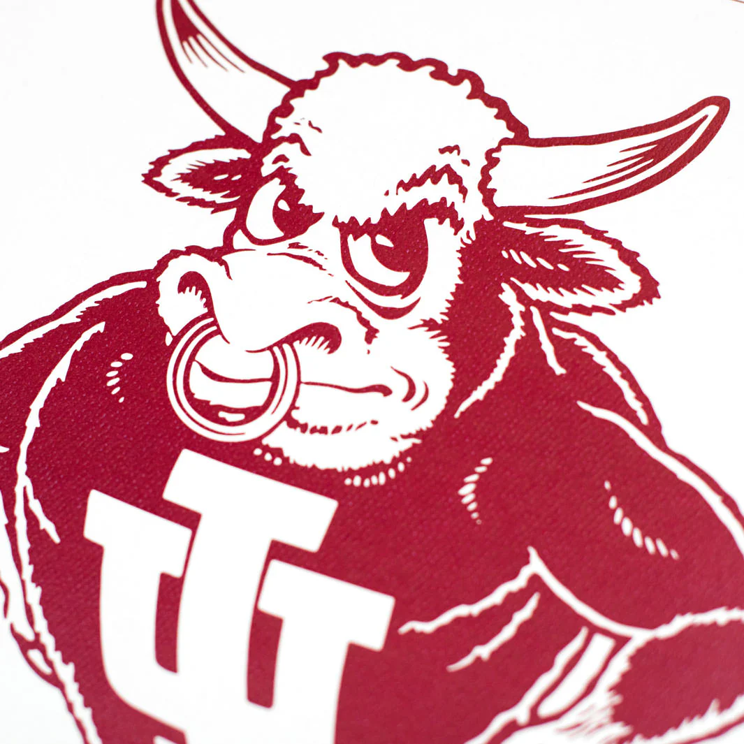 IU Bison Print - Image 3