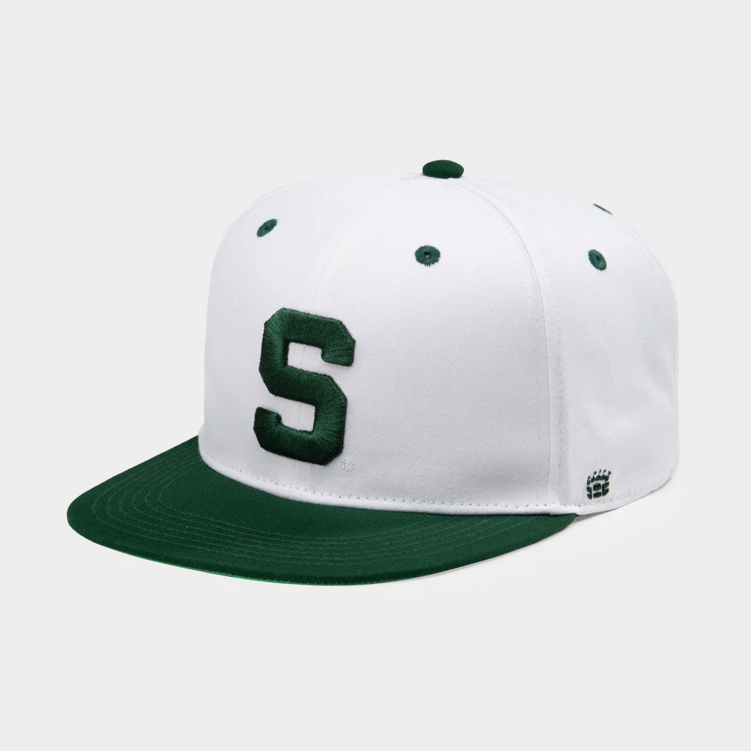 Michigan State Baseball Ballpark Bundle - Image 3