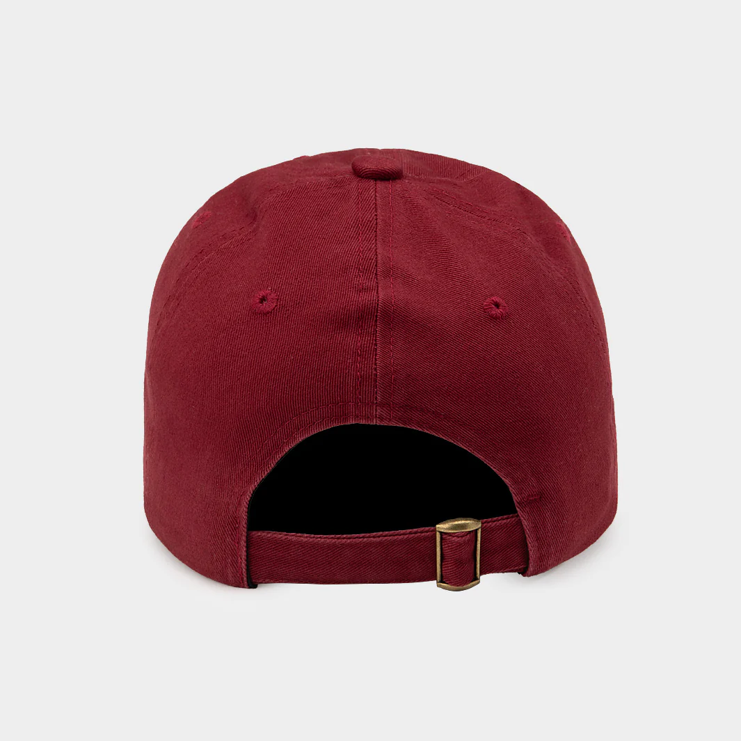 New Mexico State Aggies Script Dad Hat - Image 3