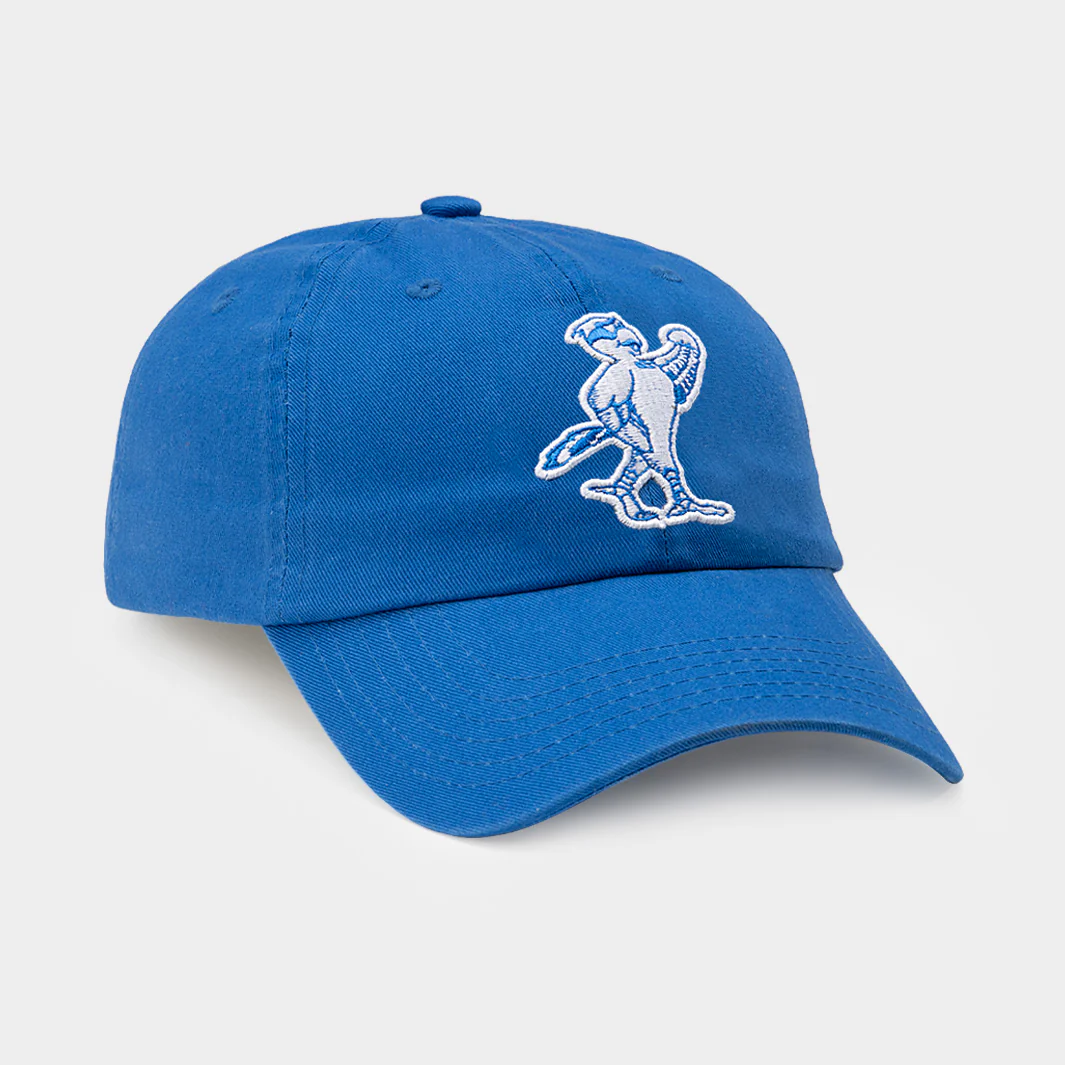 North Florida Ospreys Logo Retro Dad Hat - Image 2