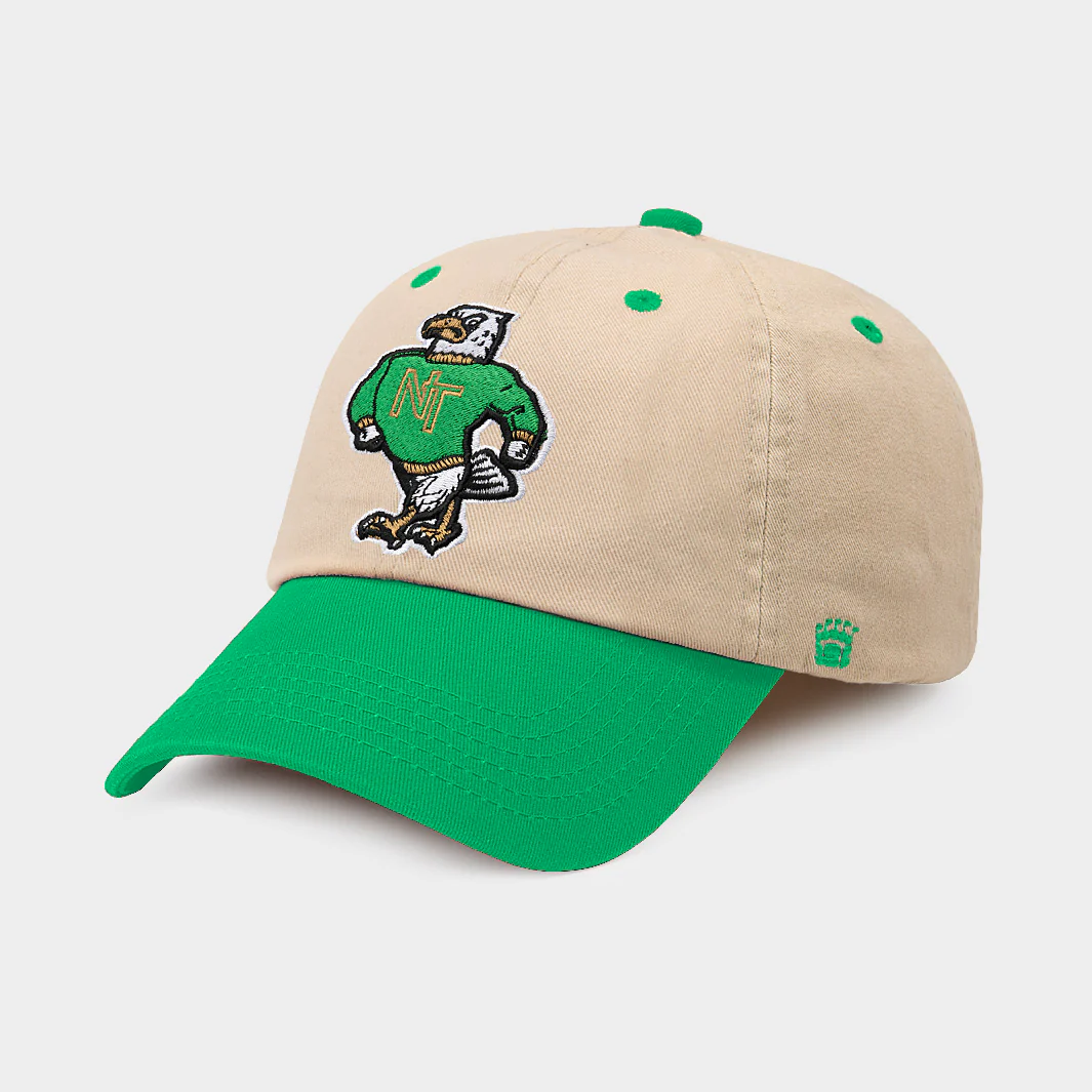 North Texas Mean Green Eagle Two-Tone Dad Hat