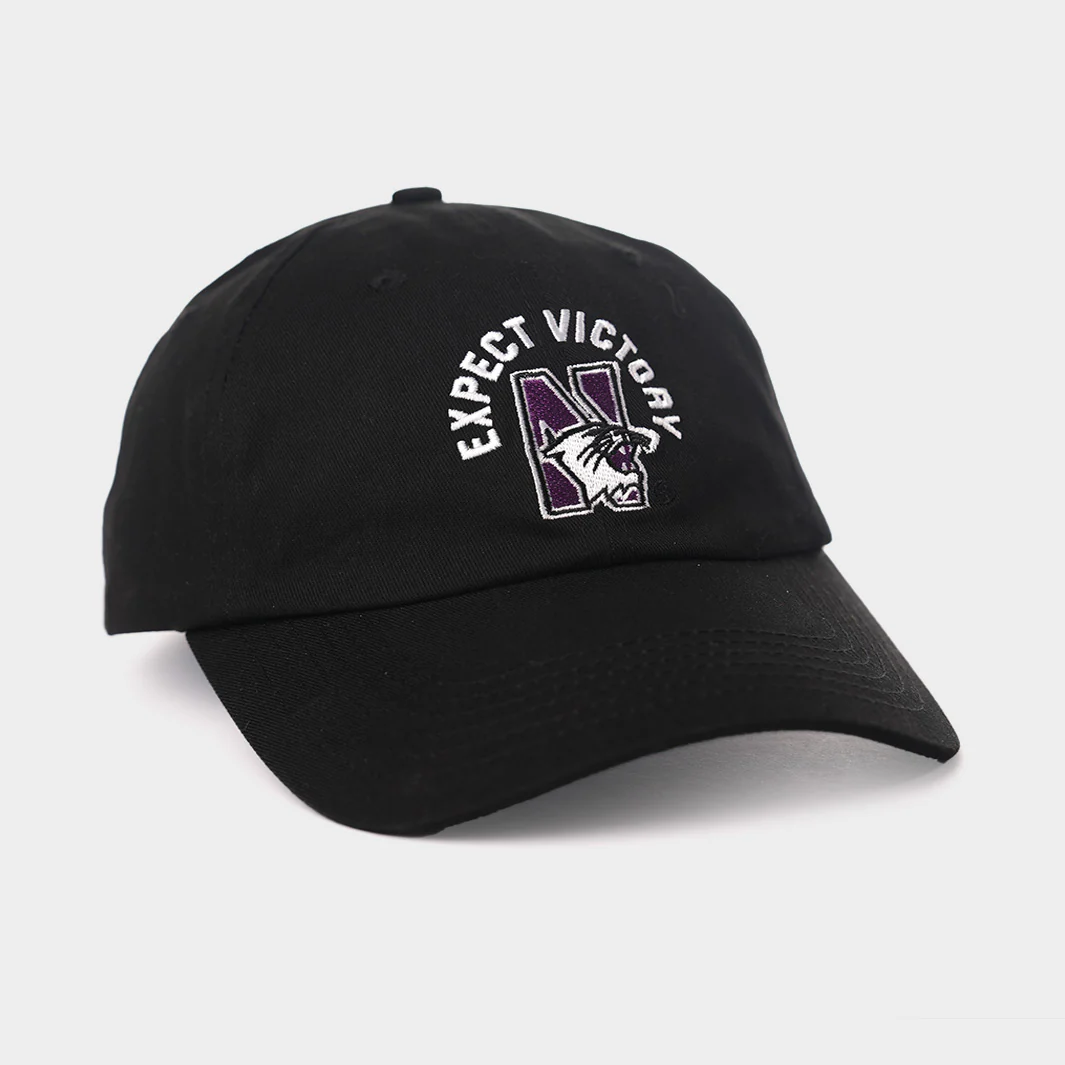 Northwestern Wildcats "Expect Victory" Dad Hat - Image 2