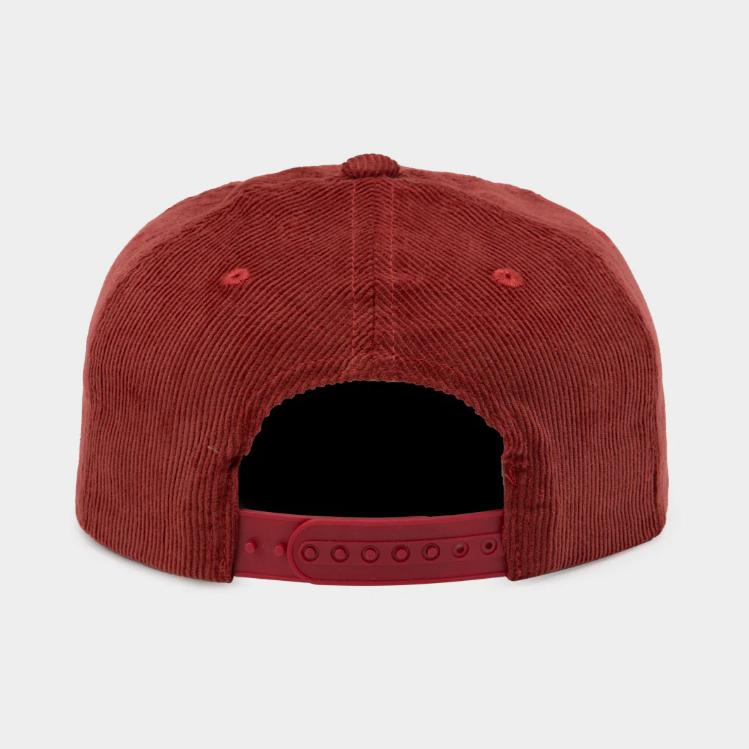 Retro-Inspired South Carolina Gamecocks Corduroy Hat - Image 3