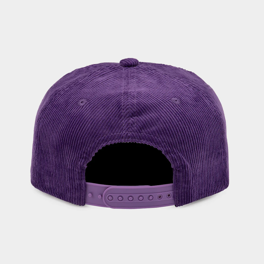 Retro-Inspired Washington Script Corduroy Hat - Image 3