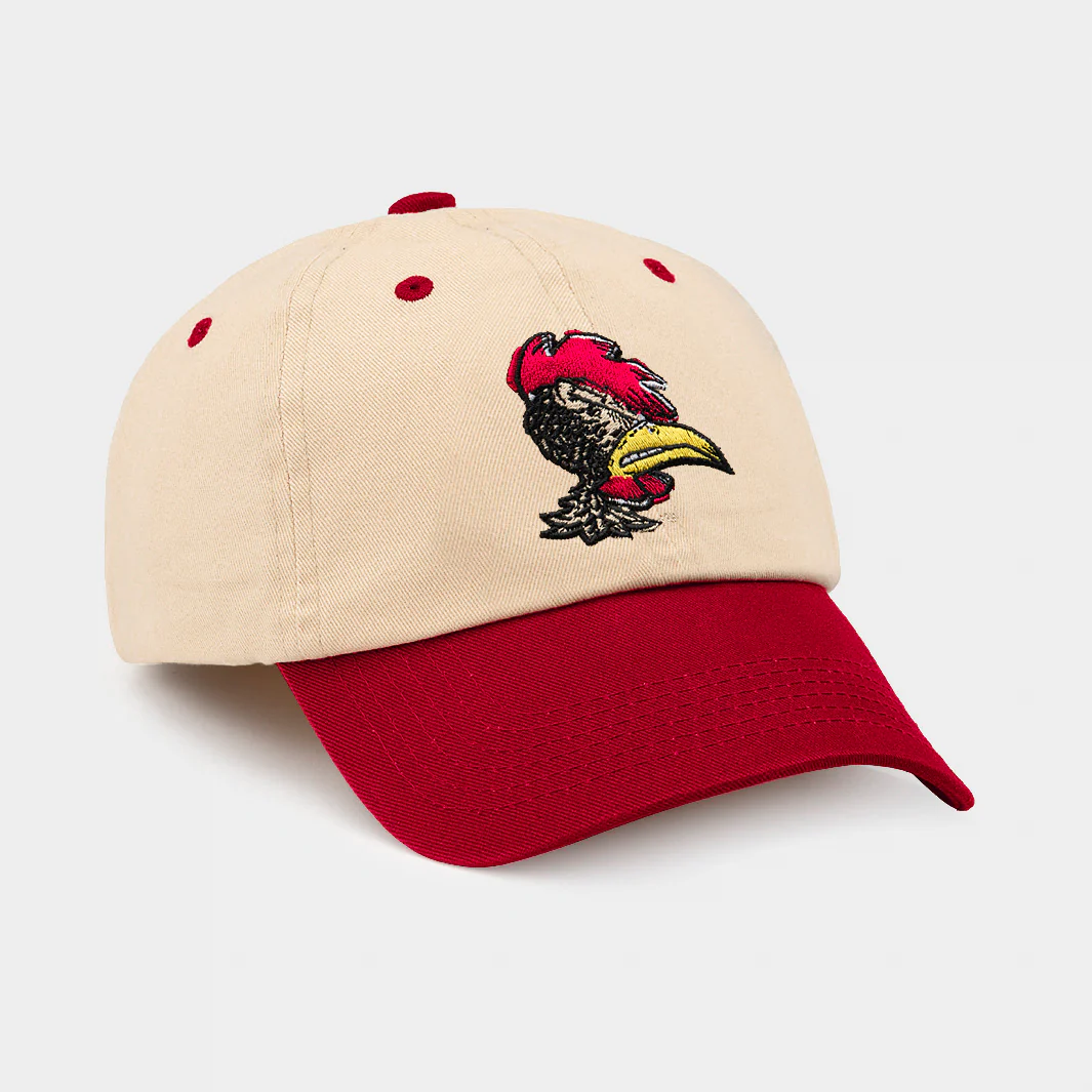 South Carolina Gamecocks Vintage Logo Two-Tone Dad Hat - Image 2