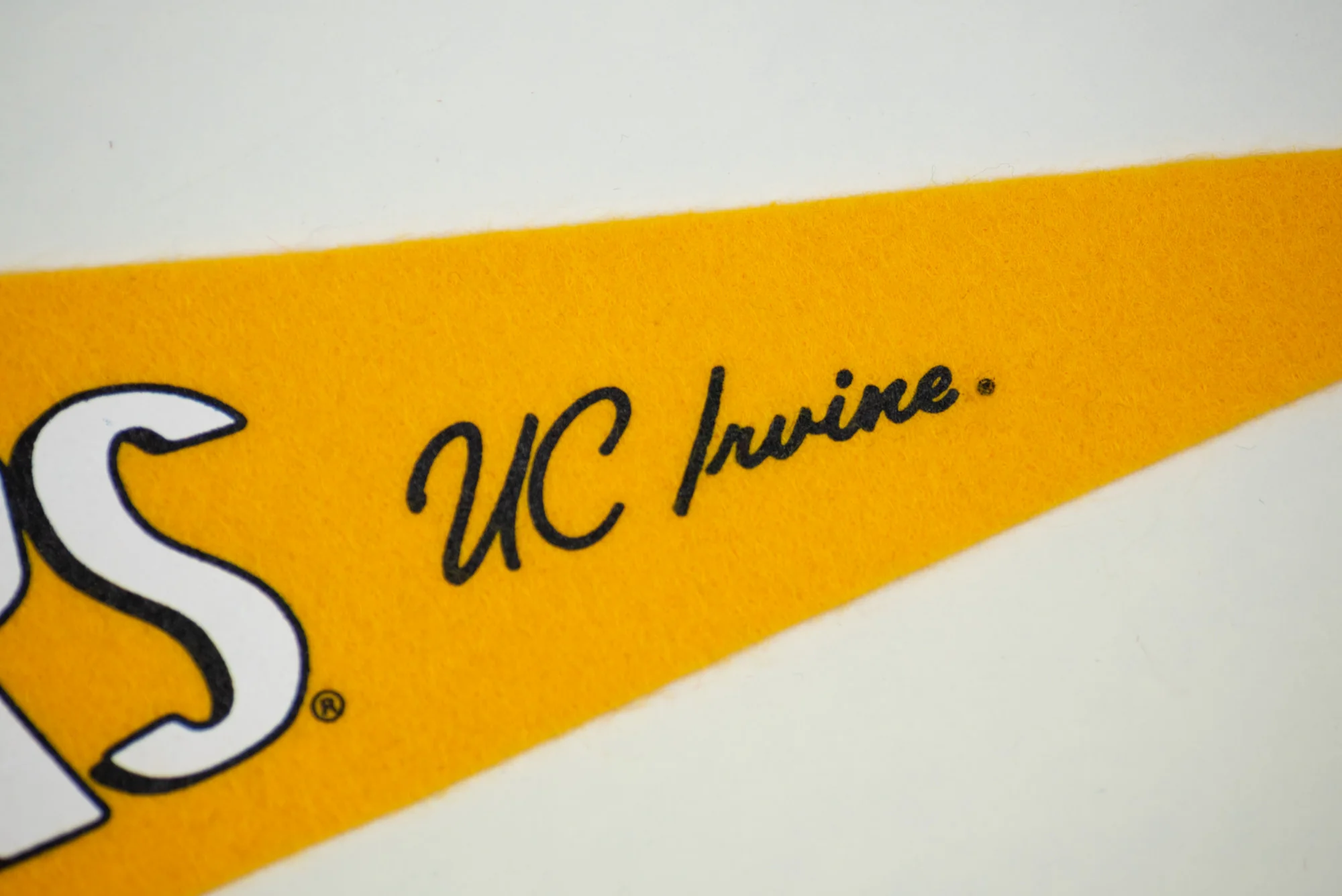 Surf's Up UC Irvine Anteaters Pennant - Image 3
