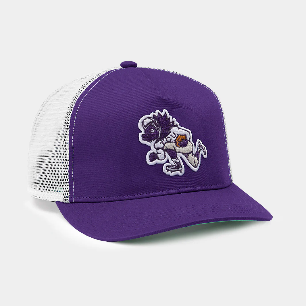 TCU Horned Frogs Football Trucker Hat - Image 2