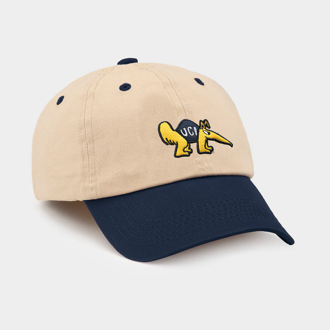 UC Irvine Anteaters Two-Tone Dad Hat - Image 2