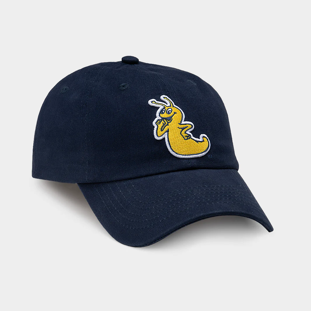 UC Santa Cruz Banana Slugs Dad Hat - Image 2