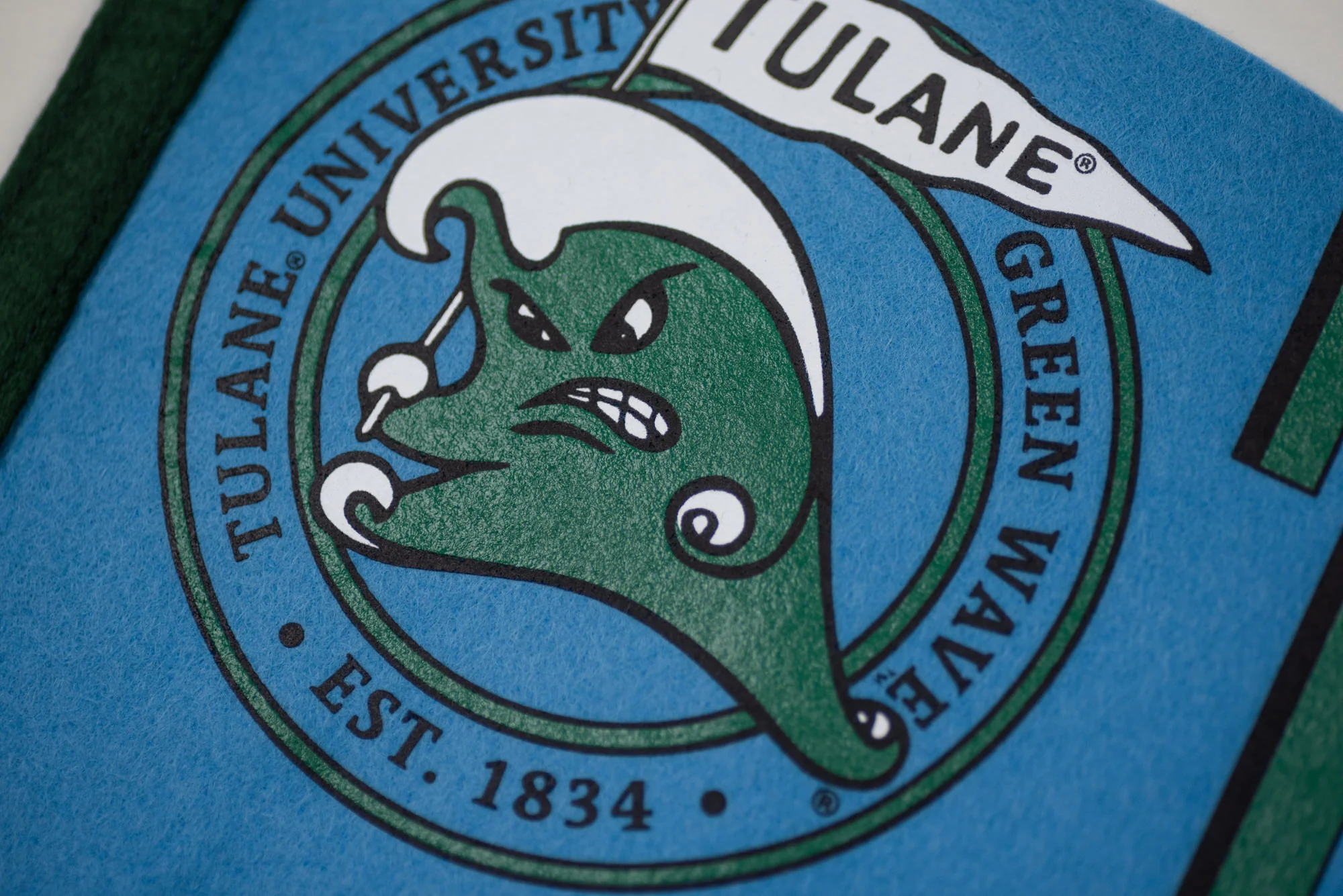 Vintage Tulane Green Wave Logo Pennant - Image 2