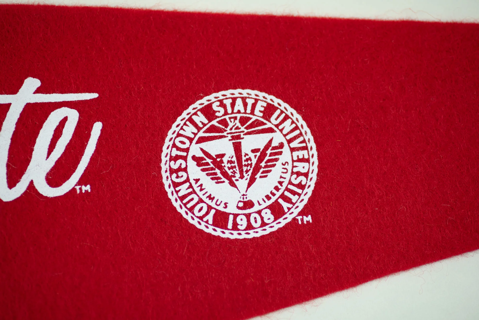 Youngstown State Vintage Penguins Logo Pennant - Image 3